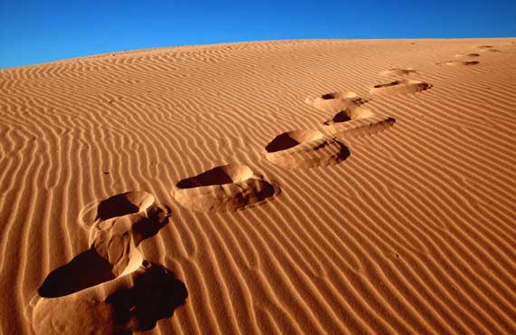 Sand Tracks for Entrepreneurs
